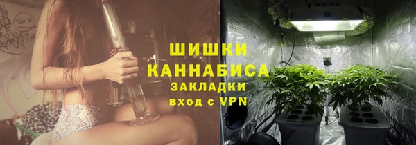 ешки Бронницы