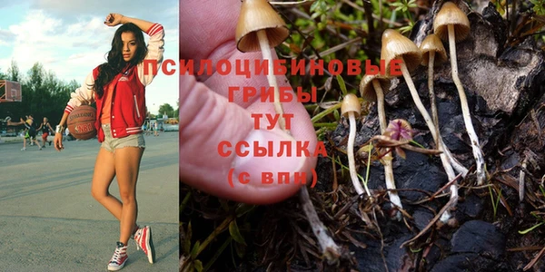 стаф Бугульма
