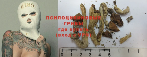 ешки Бронницы