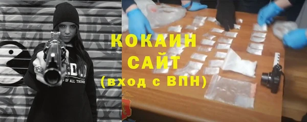 ешки Бронницы