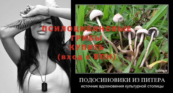 ешки Бронницы