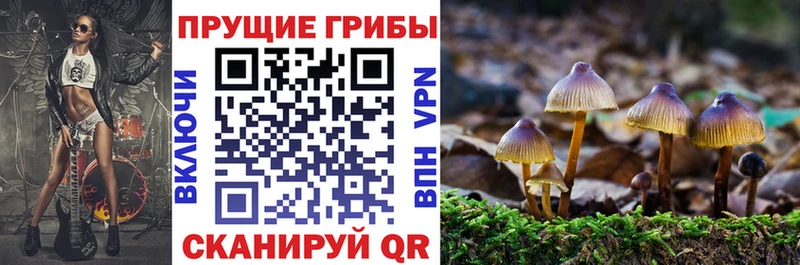 Галлюциногенные грибы Psilocybine cubensis  Ковылкино 